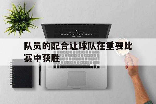 队员的配合让球队在重要比赛中获胜
